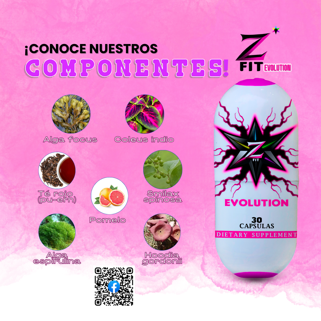 ZFIT EVOLUTION + OBSEQUIO