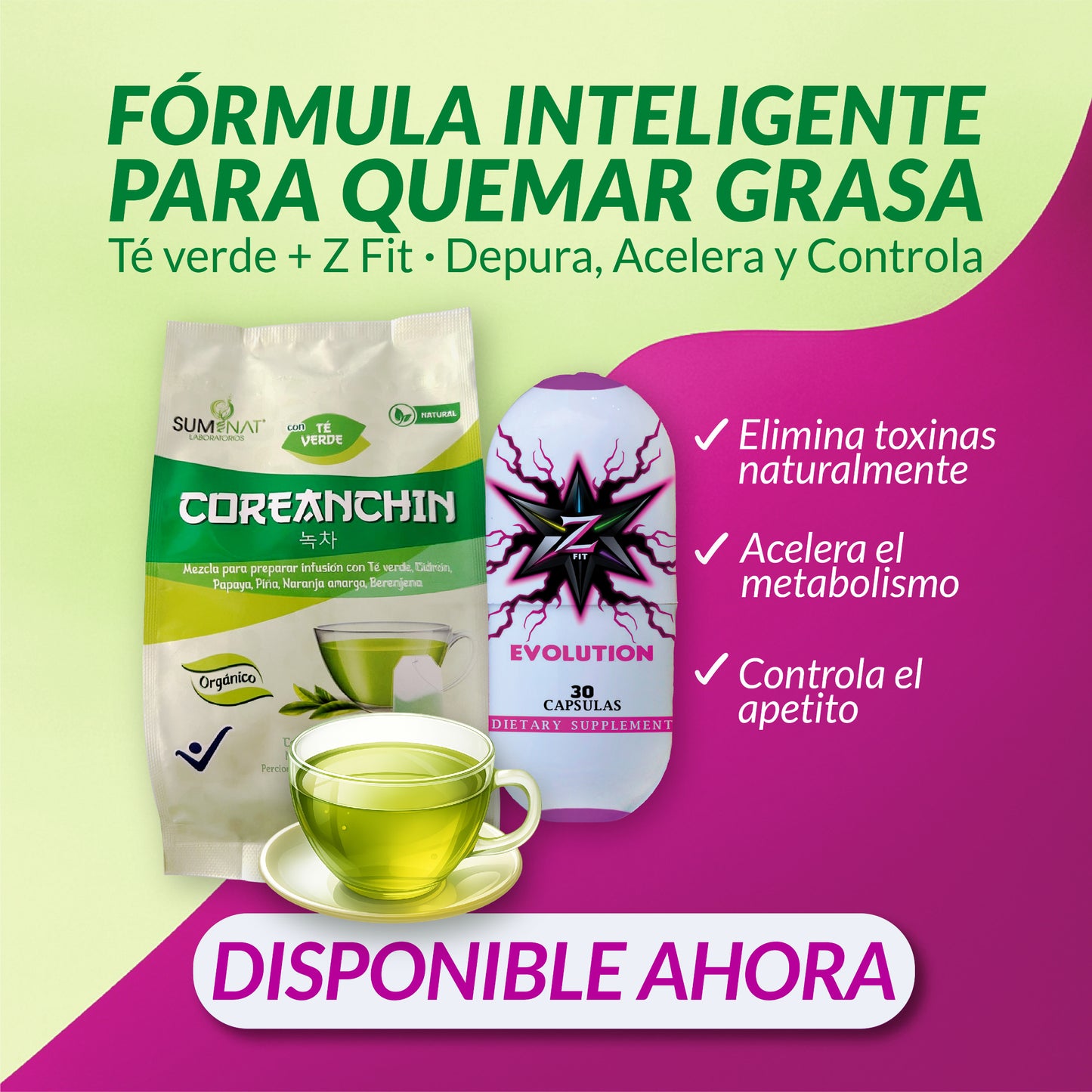 TE VERDE + ZFIT EVOLUTION